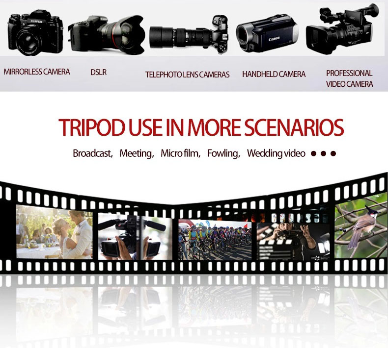 Tripod_TP08